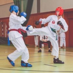 Taekwondo Gromowski Toruń