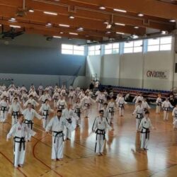 Taekwondo Toruń Chełmża