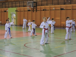 Taekwondo Działdowo17