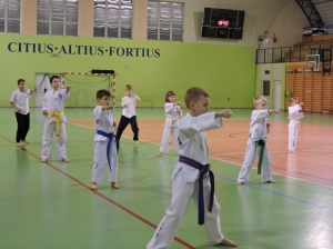 Taekwondo Działdowo18