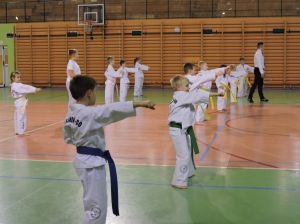 Taekwondo Działdowo19