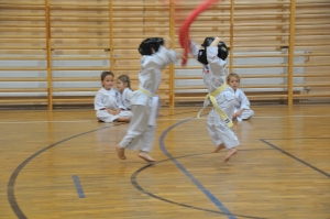 Taekwondo Lidzbark, Żuromin , Radzanów, Brodnica12