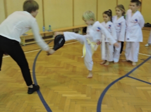 Taekwondo Nidzica9