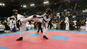 Taekwondo Gromowski Toruń Działdowo Mława Nidzica  