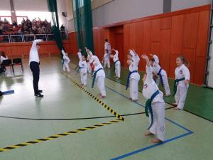 Taekwondo Radzanów 132