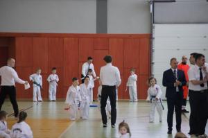 Taekwondo Działdowo  9