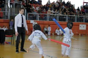 Taekwondo Grudusk 94