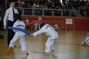 Taekwondo Grudusk 97