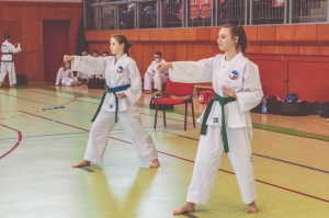 Taekwondo Brodnica5-Gromowski