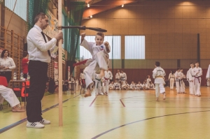 Taekwondo Lidzbark2-Gromowski