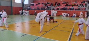 Taekwondo Toruń68-Gromowski