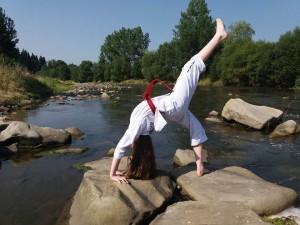 Taekwondo Toruń, Chełmża, Działdowo, Nidzica, Mława (2) 