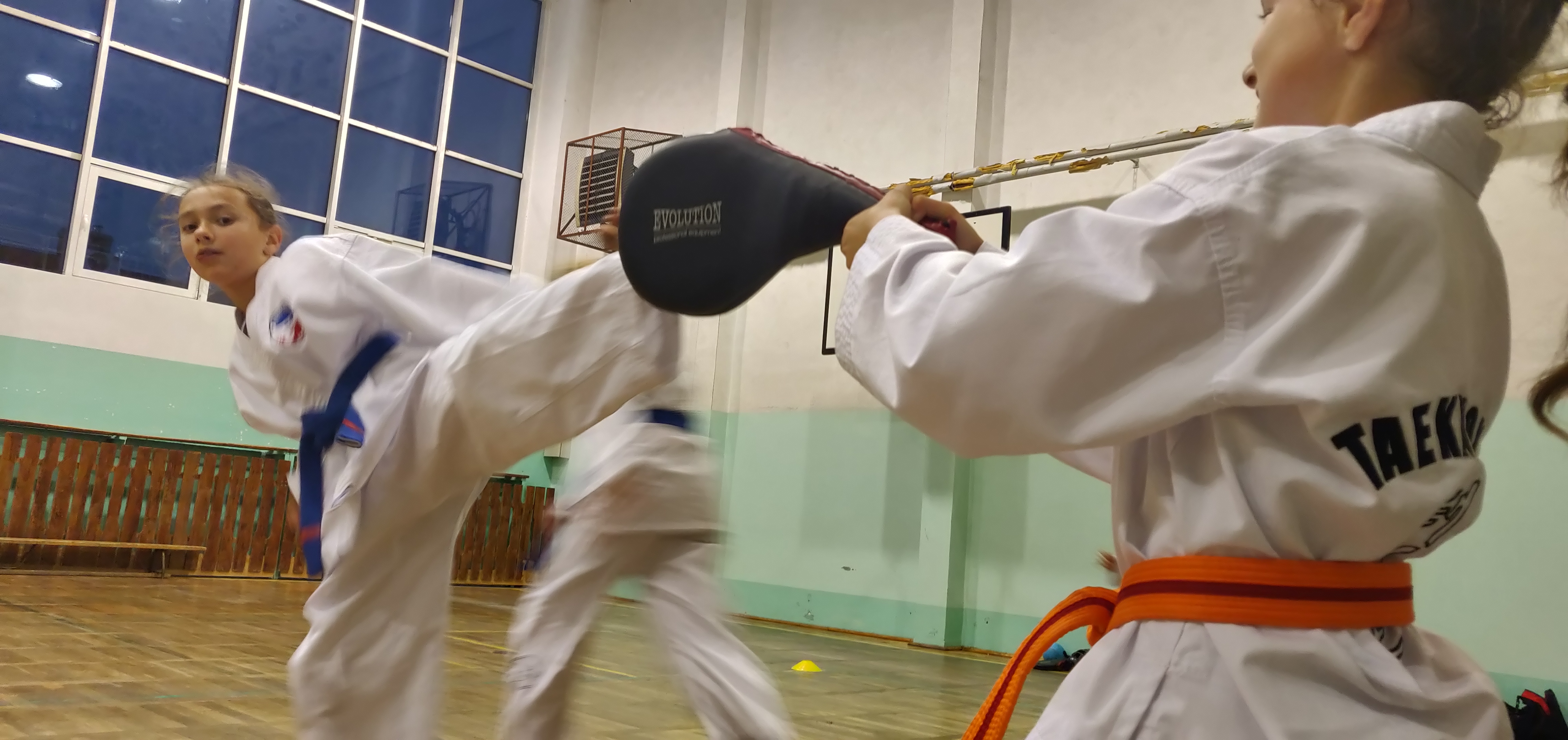 taekwondo toruń