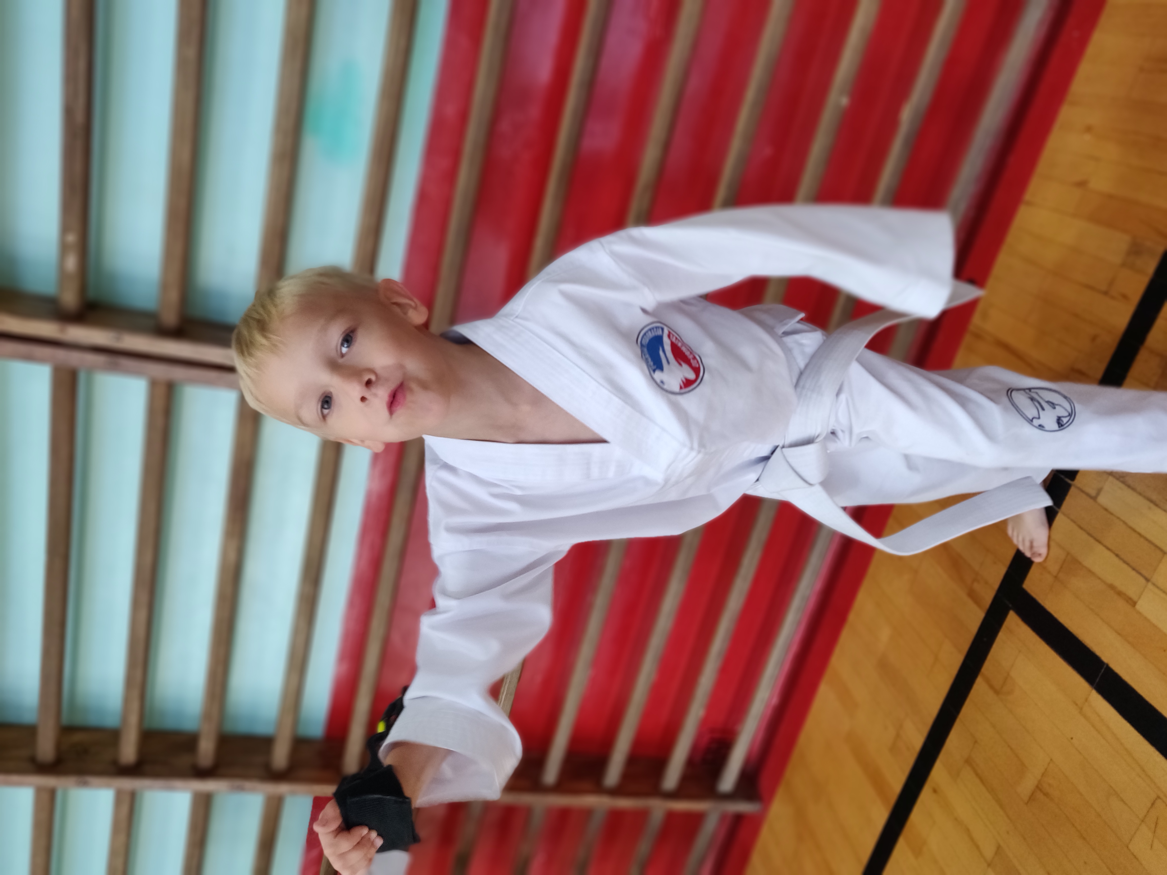 taekwondo toruń