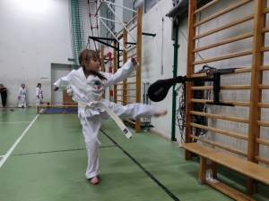 Taekwondo Toruń32
