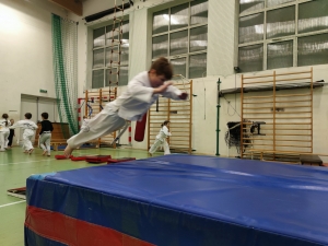 Taekwondo Toruń33