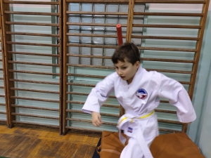 Taekwondo Toruń101