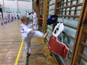 Taekwondo Toruń102