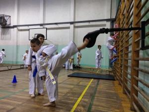 Taekwondo Toruń106