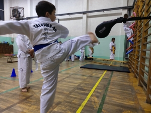Taekwondo Toruń108