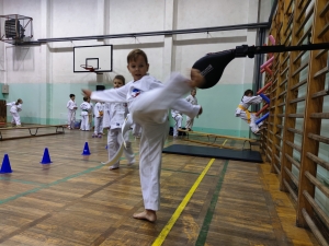 Taekwondo Toruń109
