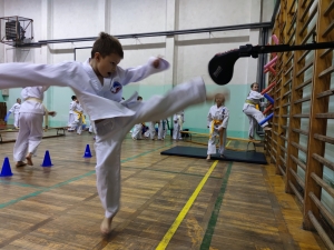Taekwondo Toruń110