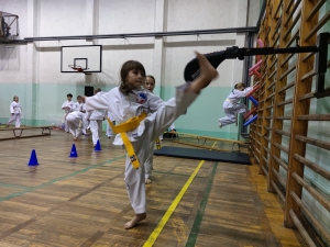 Taekwondo Toruń112