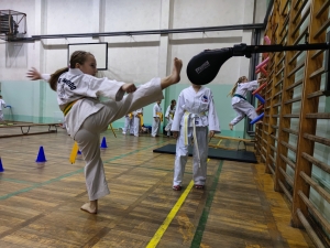 Taekwondo Toruń113
