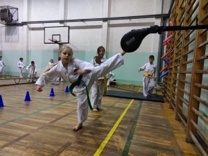 Taekwondo Toruń116