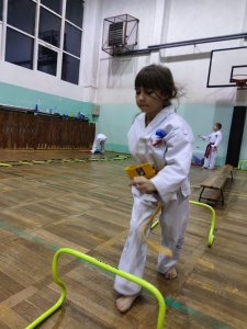 Taekwondo Toruń117