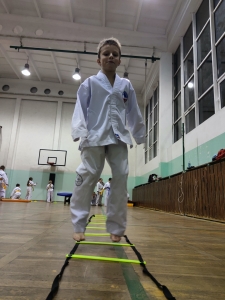 Taekwondo Toruń119