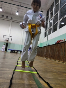 Taekwondo Toruń120