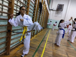 Taekwondo Toruń131
