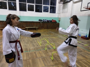 Taekwondo Toruń133