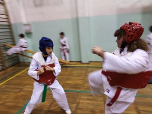 Taekwondo Toruń135