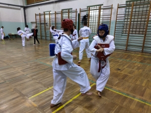 Taekwondo Toruń138