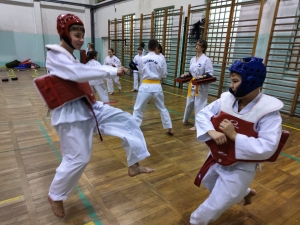 Taekwondo Toruń139