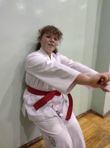 Taekwondo Toruń141