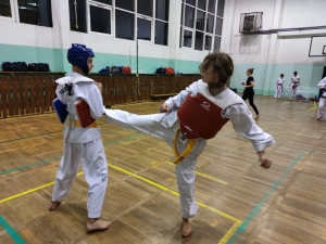 Taekwondo Toruń145