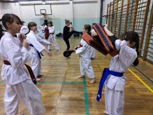 Taekwondo Toruń146