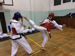 Taekwondo Toruń154