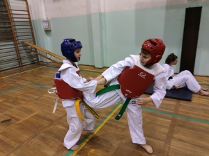 Taekwondo Toruń158