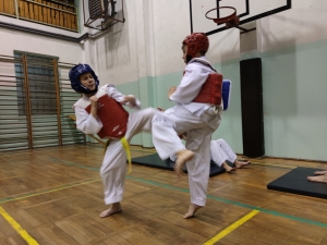 Taekwondo Toruń159
