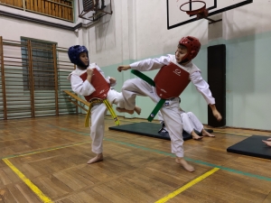 Taekwondo Toruń160
