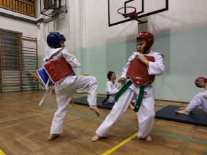 Taekwondo Toruń161