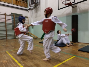 Taekwondo Toruń162