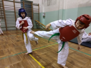 Taekwondo Toruń163