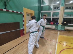 Taekwondo Toruń174