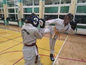 Taekwondo Toruń184