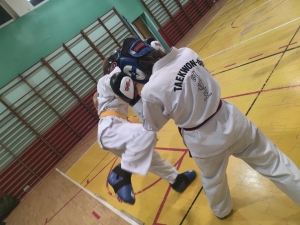 Taekwondo Toruń185